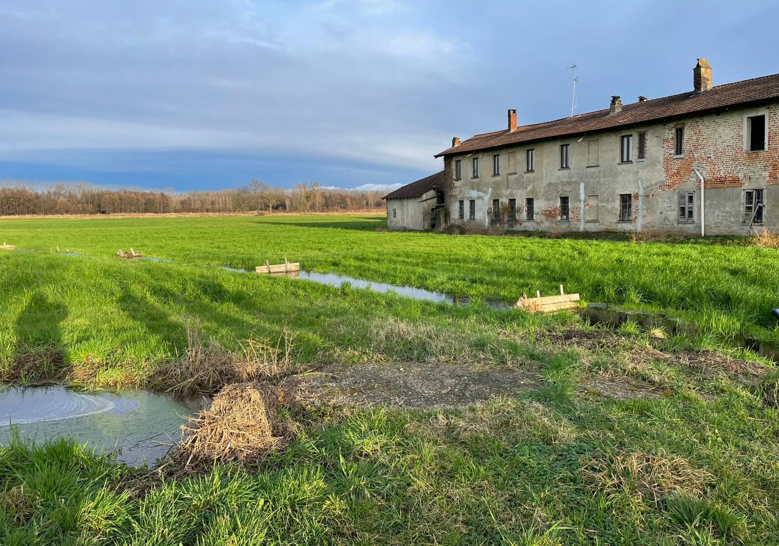 Marcite del Parco Agricolo Sud Milano: ecco i contributi per mantenerle