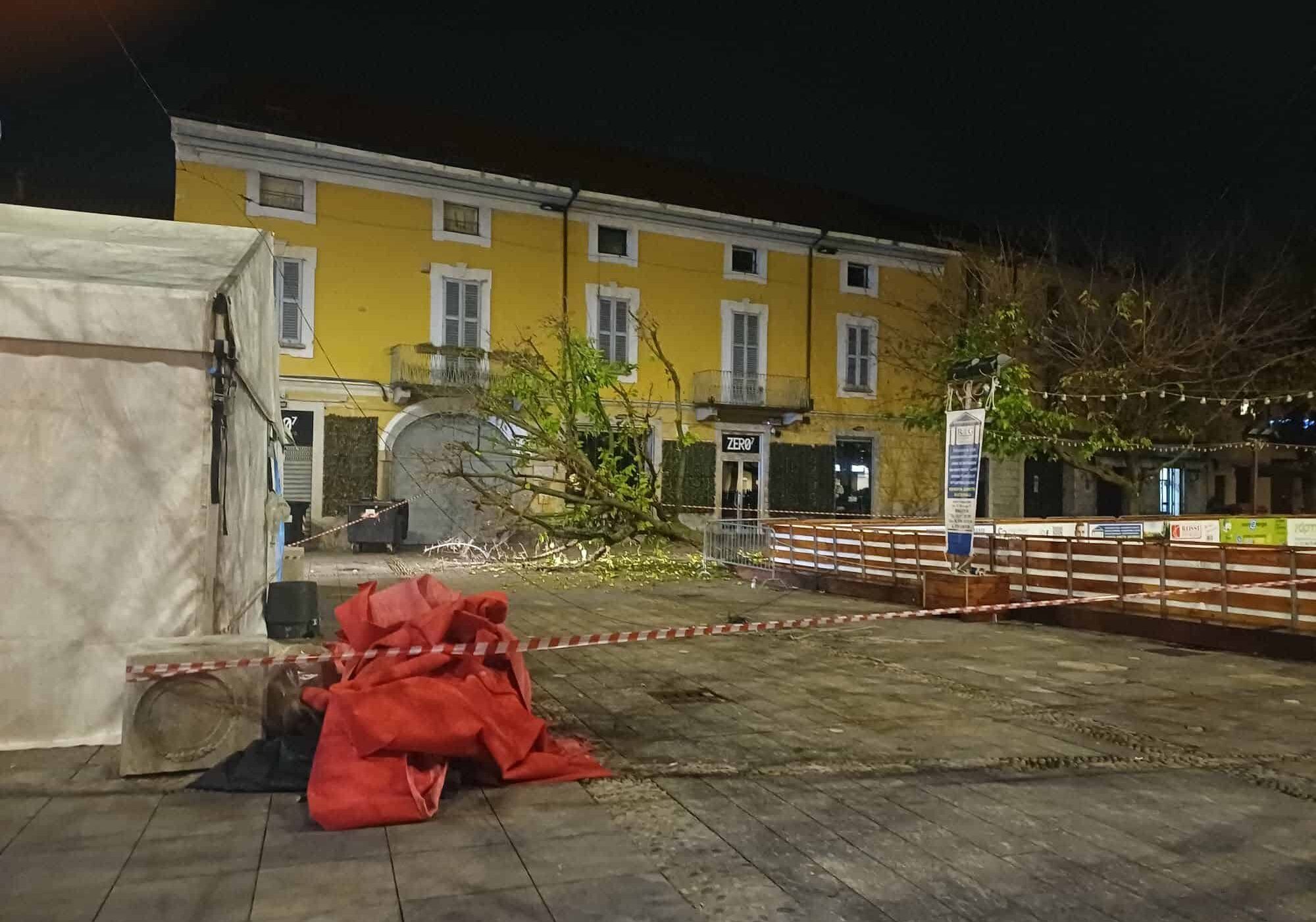 Magenta: mezzo dell’igiene urbana causa la caduta di un albero in piazza Liberazione