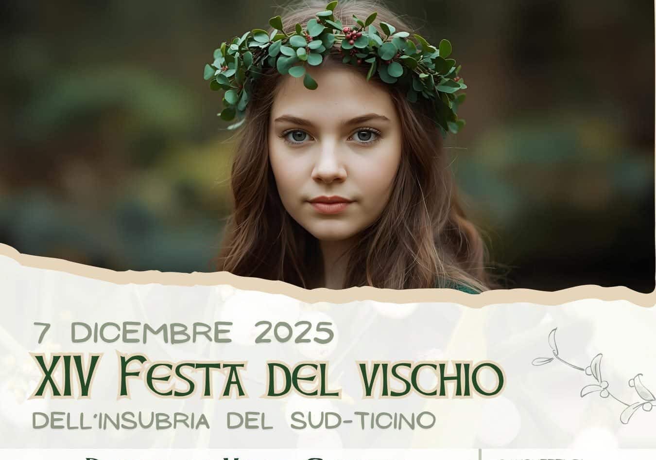 Marcallo con Casone celebra oggi la XIV Festa del Vischio: tra antichi riti, tradizioni druidiche e comunità