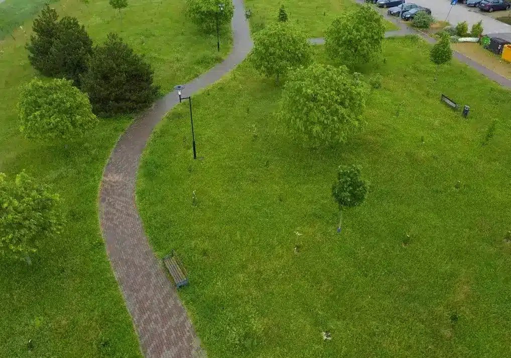 Città Metropolitana: in arrivo quasi 63mila tra alberi e arbusti