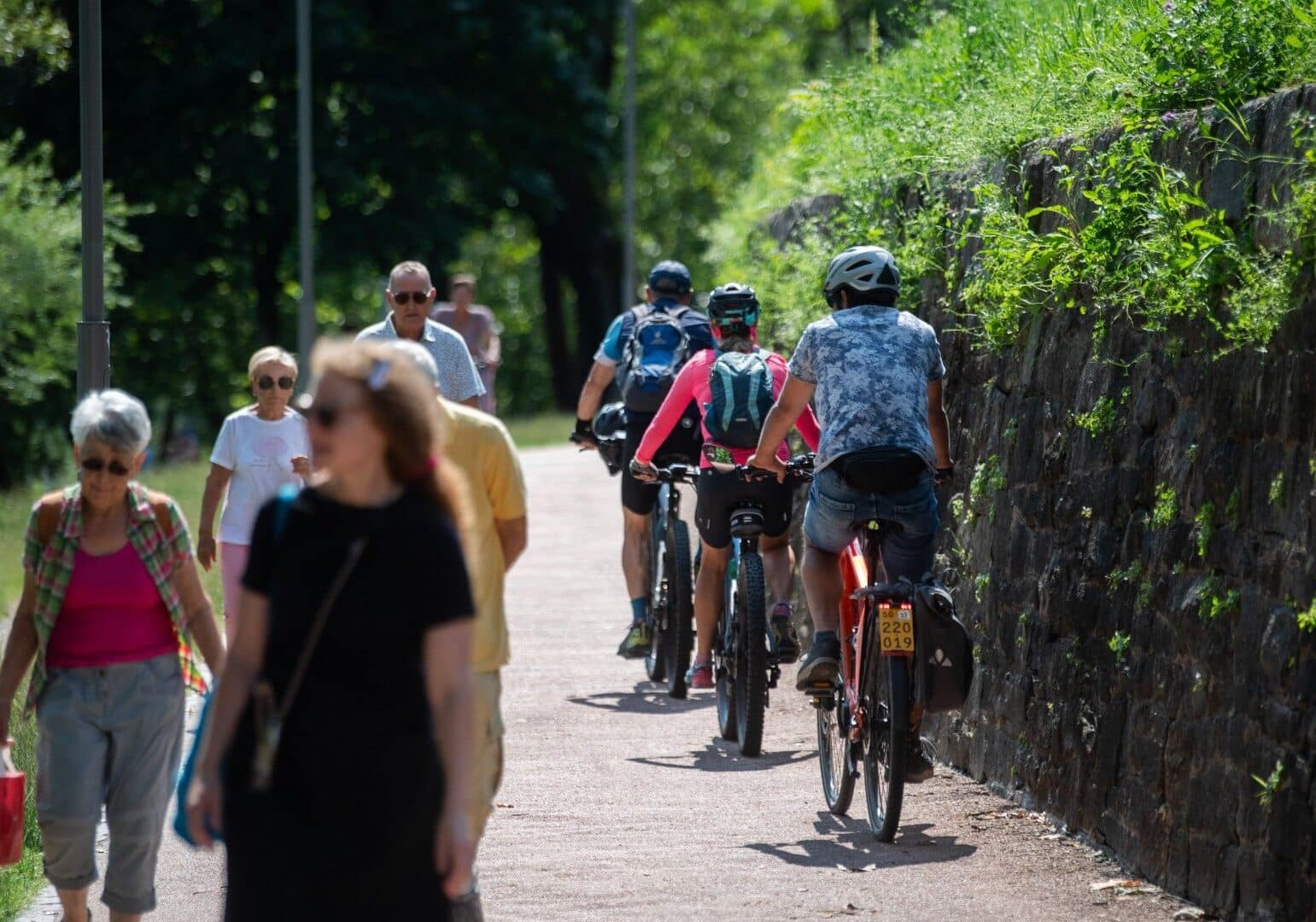 Bellinzona. Assemblea di Pro Velo Ticino: Marco Vitali lascia la presidenza