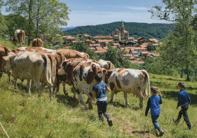 Turismo slow e radici antiche: Boca lancia gli “Anelli Rurali” con convegno e trekking