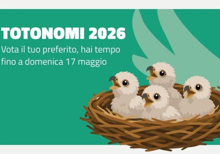 Il Pirellone e i suoi falchi pellegrini: al via il “totonomi” per i pulli di Giò e Giulia