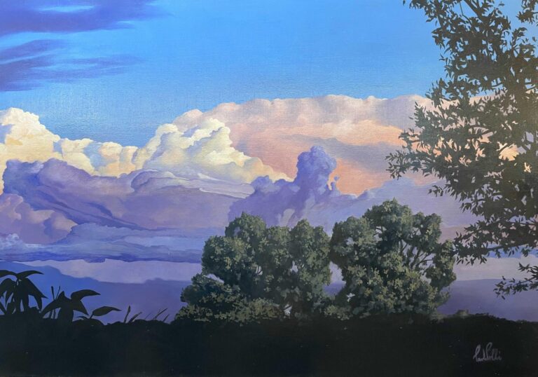 Cosa sono le nuvole? Cosa ci dicono? A tu per tu con gli artisti di “Up in the sky”