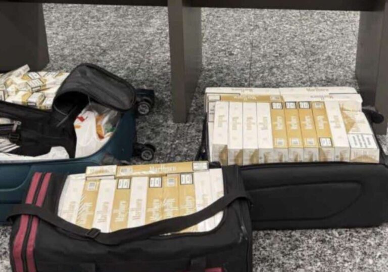 A Malpensa sequestrate oltre due tonnellate di tabacco illegale