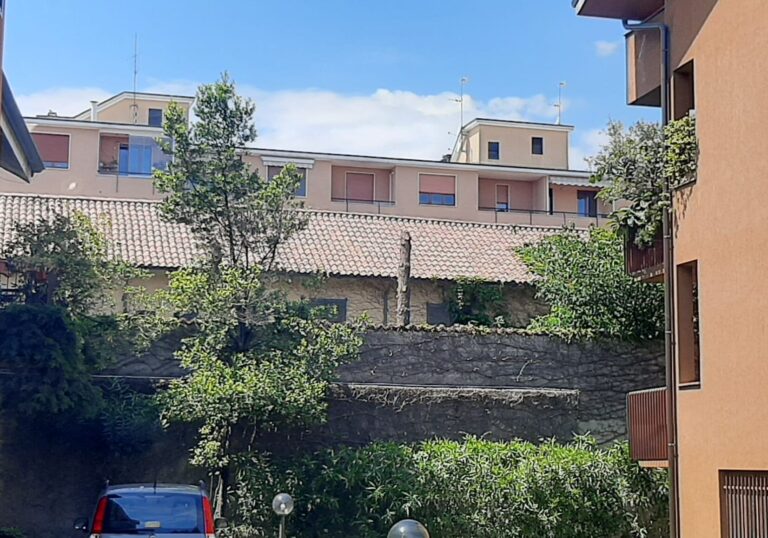 Magenta: abeti rossi abbattuti nel centro storico, cittadino segnala alla Polizia locale