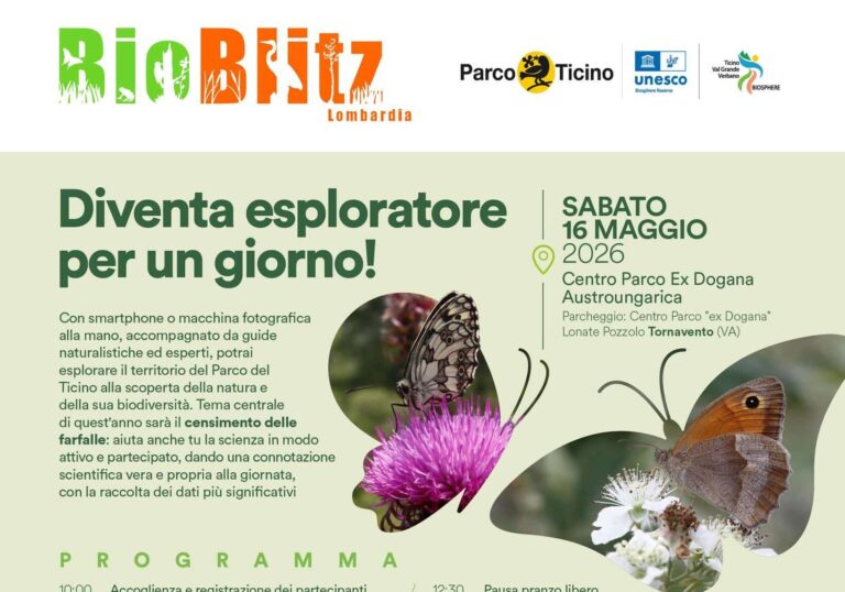 BioBlitz 2026 al Parco del Ticino: cittadini ed esperti insieme per il censimento delle farfalle