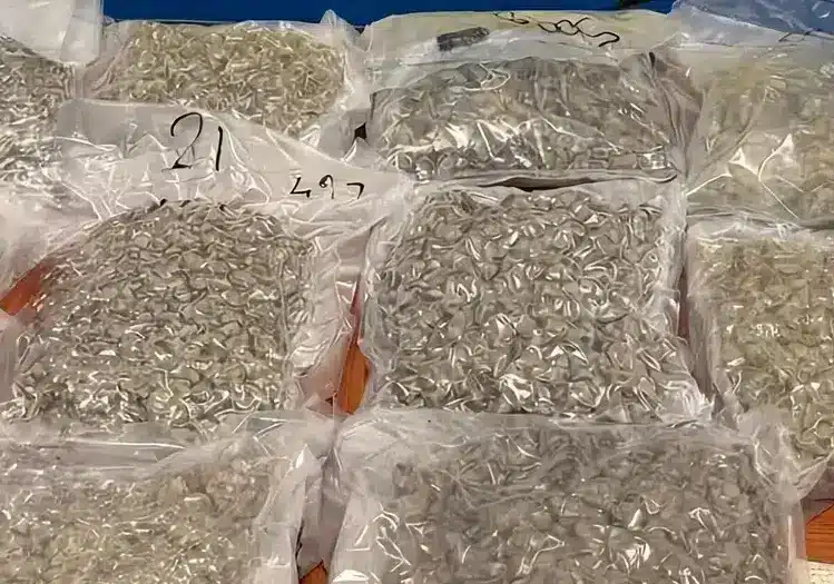 Trovati 4,5 kg di marijuana in un borsone abbandonato nel Pavese