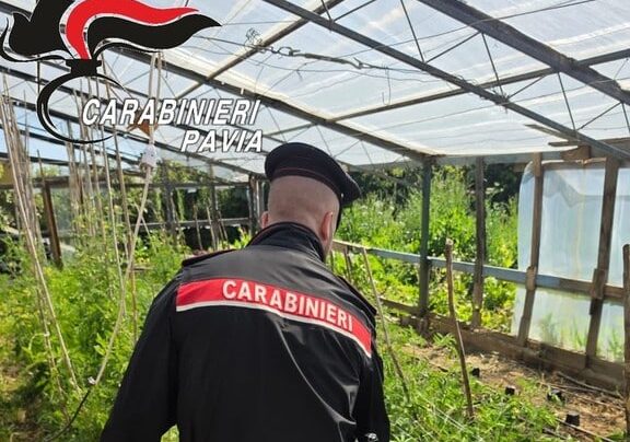 Maxi operazione antidroga dei Carabinieri di Belgioioso. Due arresti