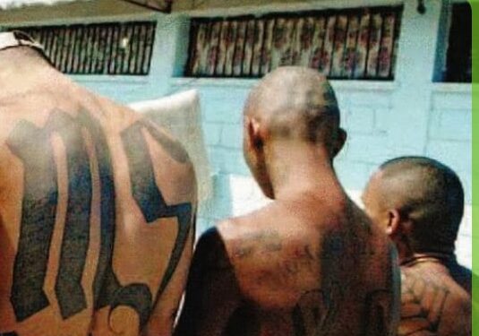 Giovane rapinato da ‘branco’ per il cellulare a Milano, tre sudamericani arrestati