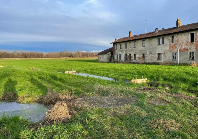 Prati stabili e marcite, il Parco del Ticino porta a ERSAF trent’anni di esperienza e tutela del paesaggio