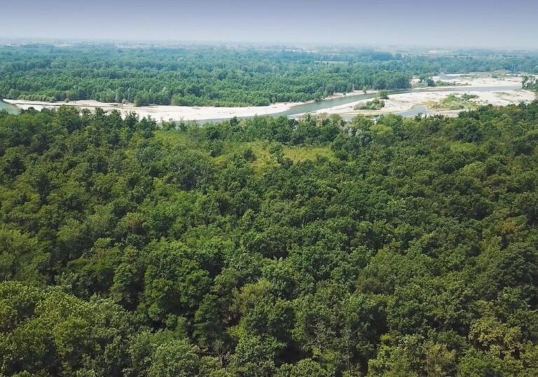 Tutela Parchi, 11 milioni di euro da progetto Life forest4future
