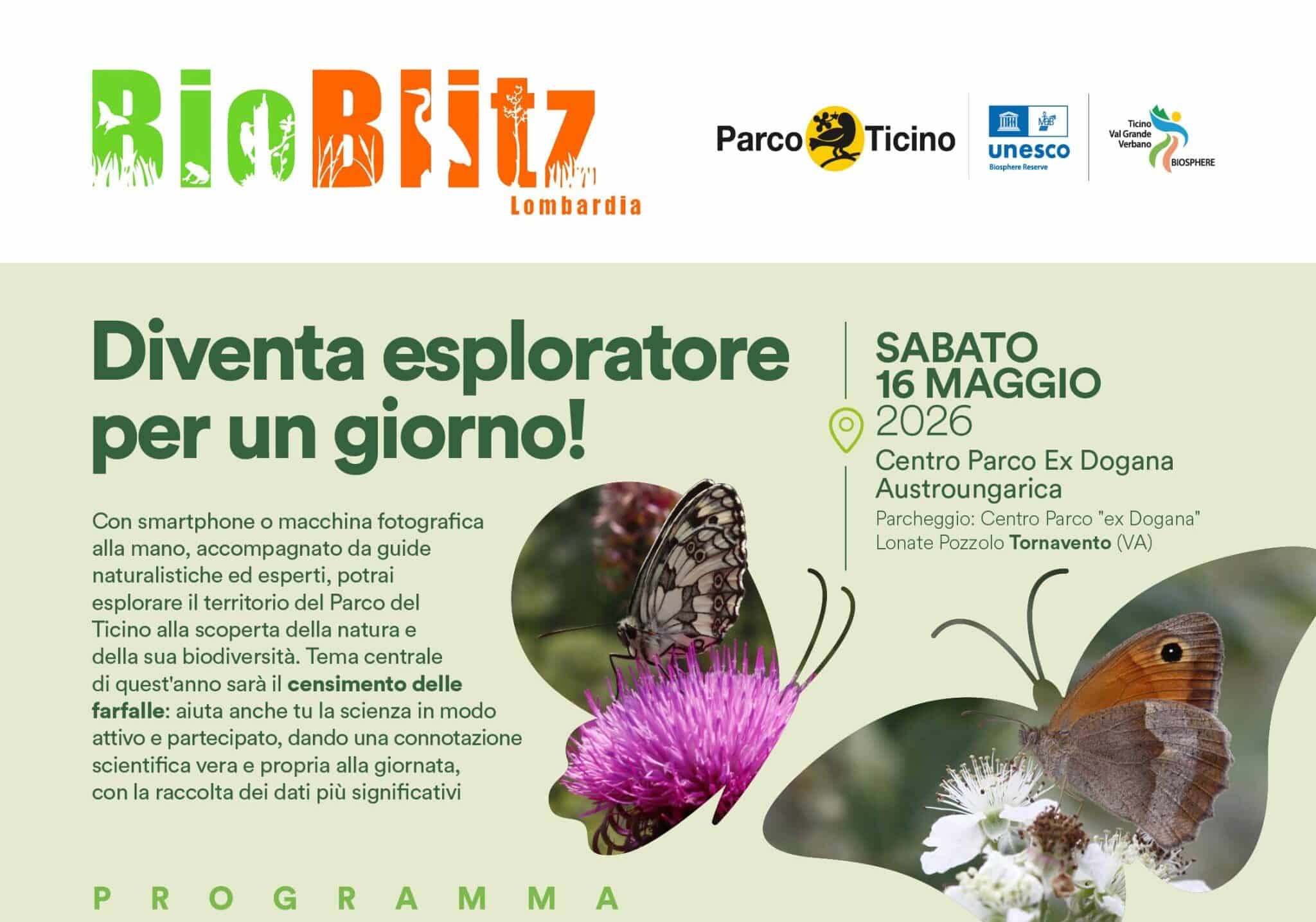 BioBlitz 2026 al Parco del Ticino: cittadini ed esperti insieme per il censimento delle farfalle
