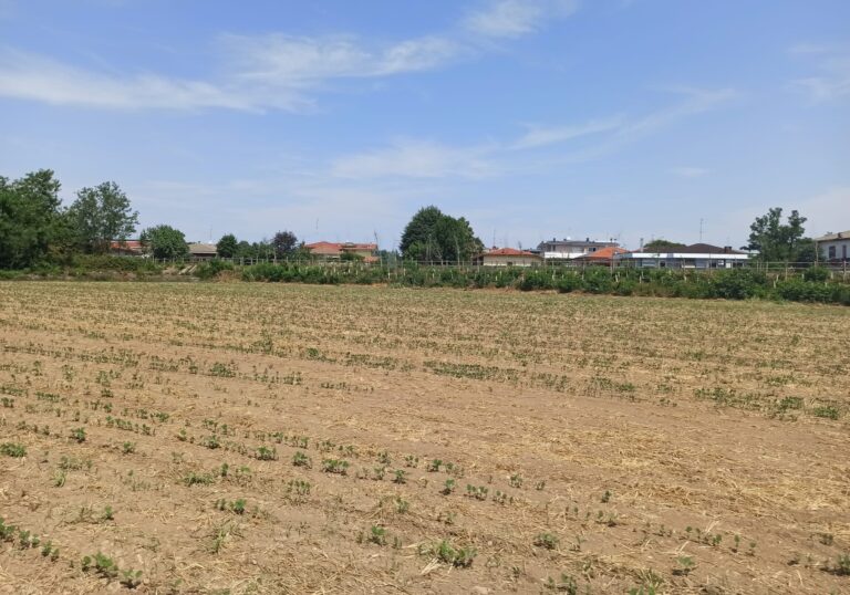 Crisi idrica in Lombardia: servono interventi strutturali e una gestione condivisa della risorsa acqua